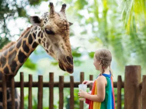 6 Pilihan Wisata Bali Cocok Untuk Anak