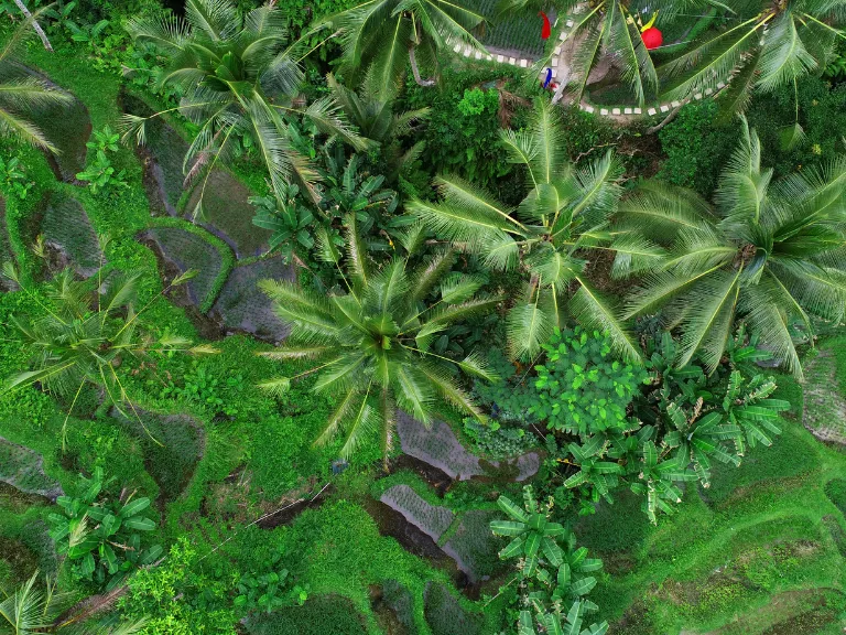 Paket Tour Bali Dari Bandung