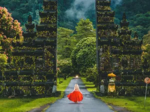 Transportasi Bandara ke Bedugul Bali