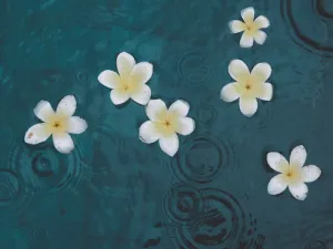 Paket Tour Bali Dari Solo