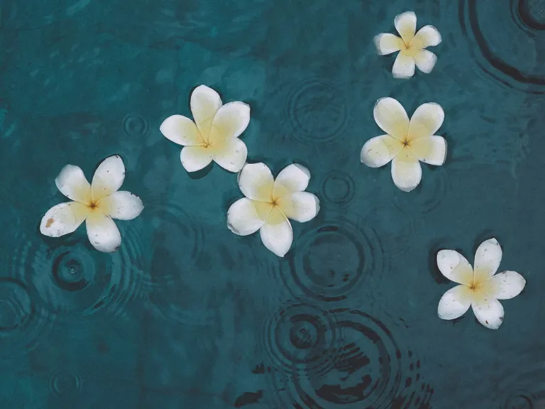 Paket Tour Bali Dari Solo